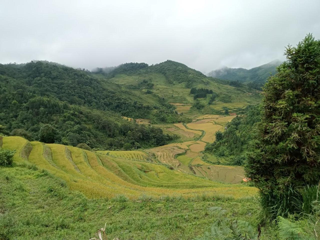 Bac Ha Charm Stay Ngoại thất bức ảnh