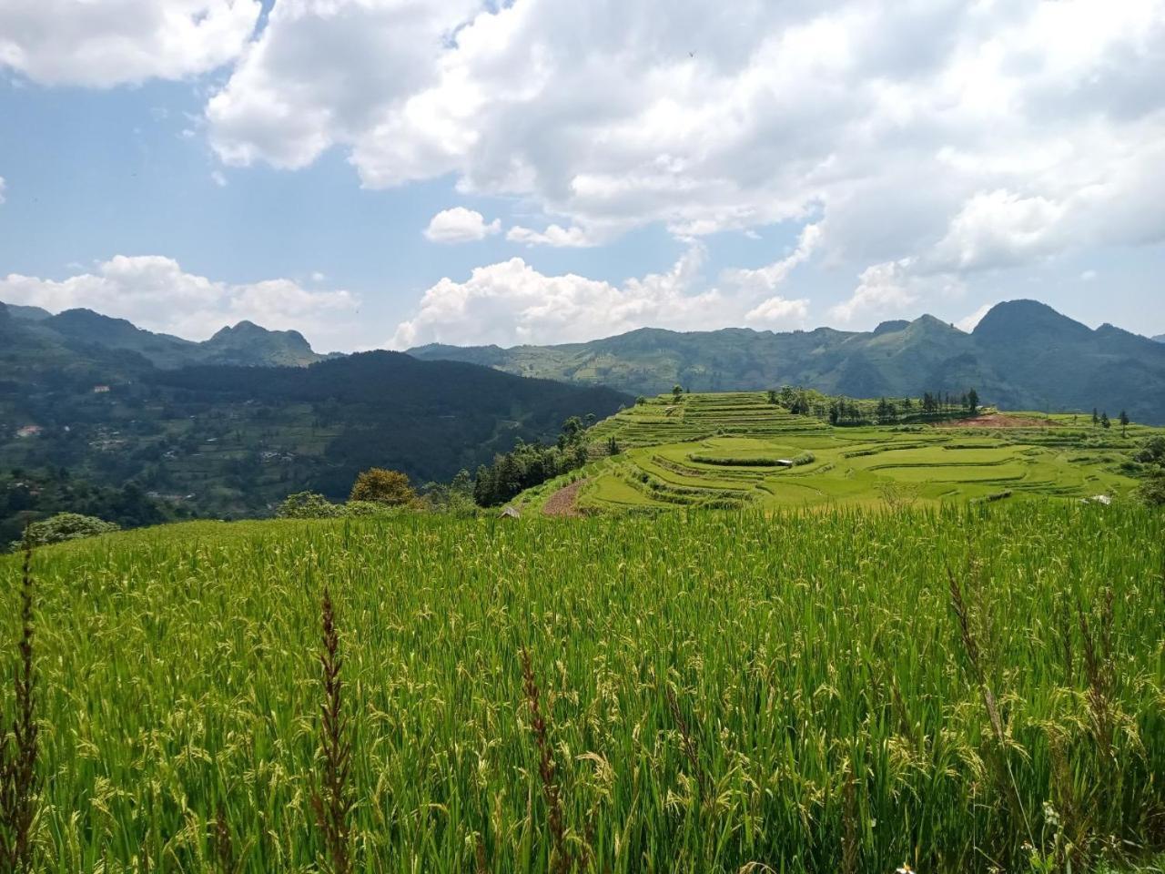 Bac Ha Charm Stay Ngoại thất bức ảnh