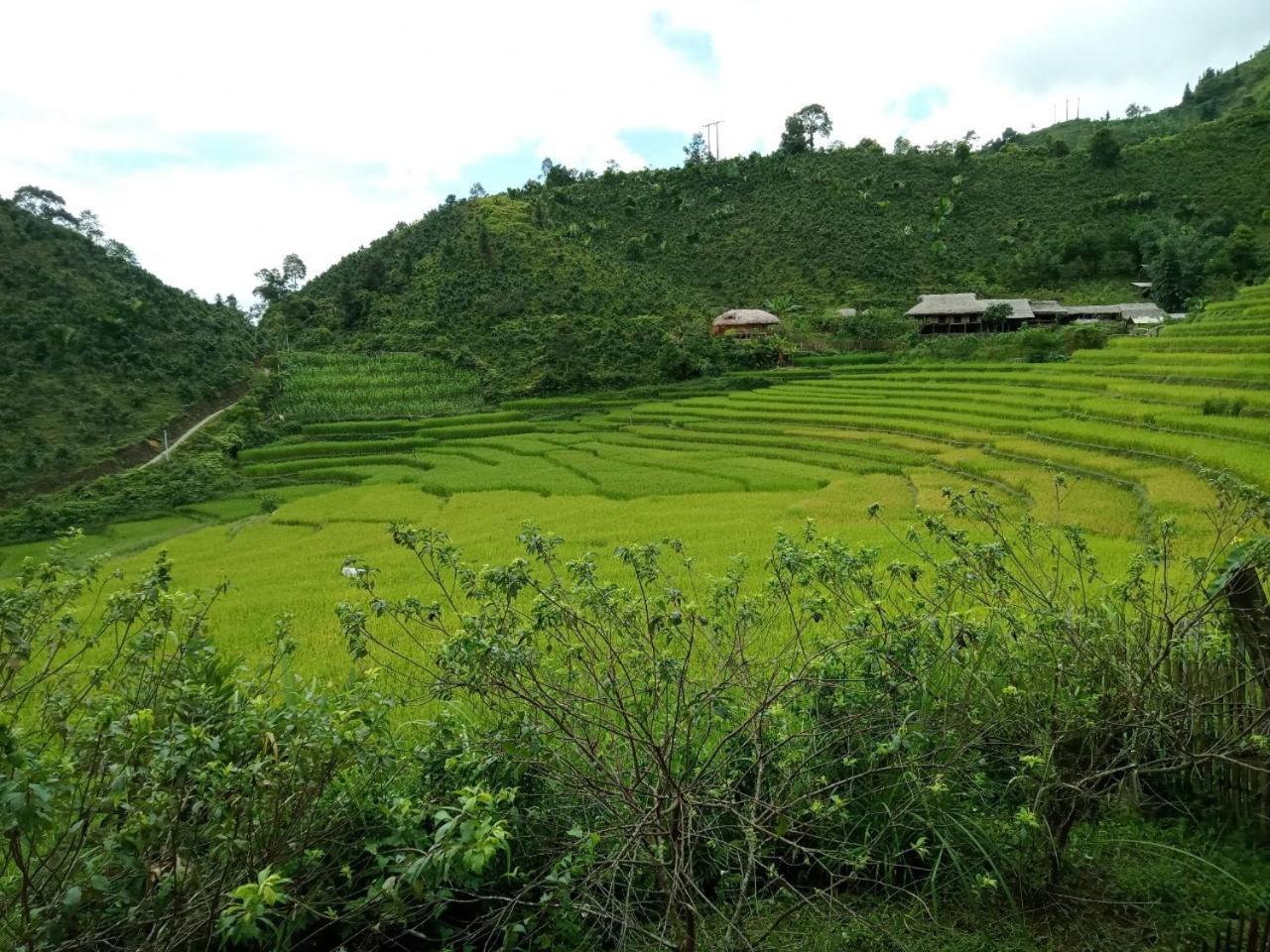 Bac Ha Charm Stay Ngoại thất bức ảnh