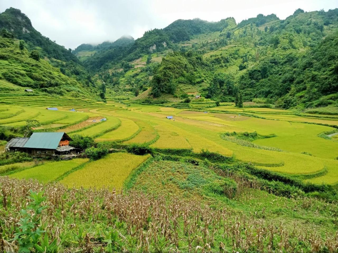 Bac Ha Charm Stay Ngoại thất bức ảnh