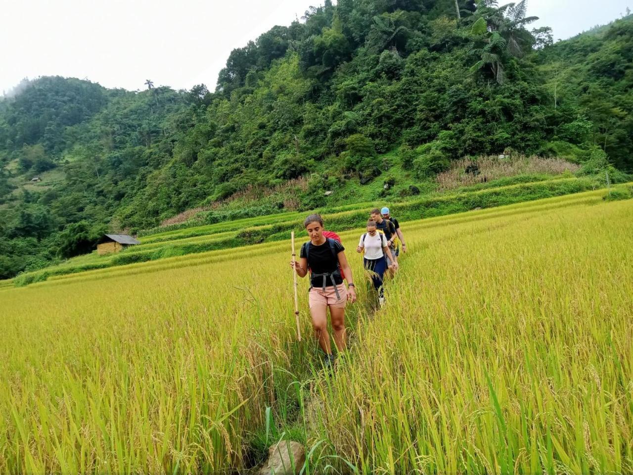 Bac Ha Charm Stay Ngoại thất bức ảnh