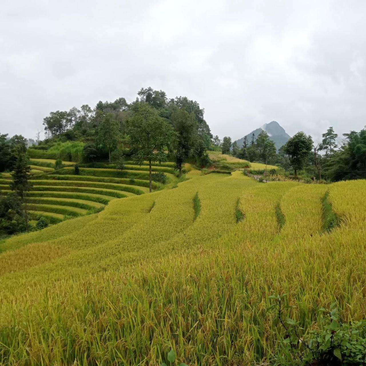 Bac Ha Charm Stay Ngoại thất bức ảnh