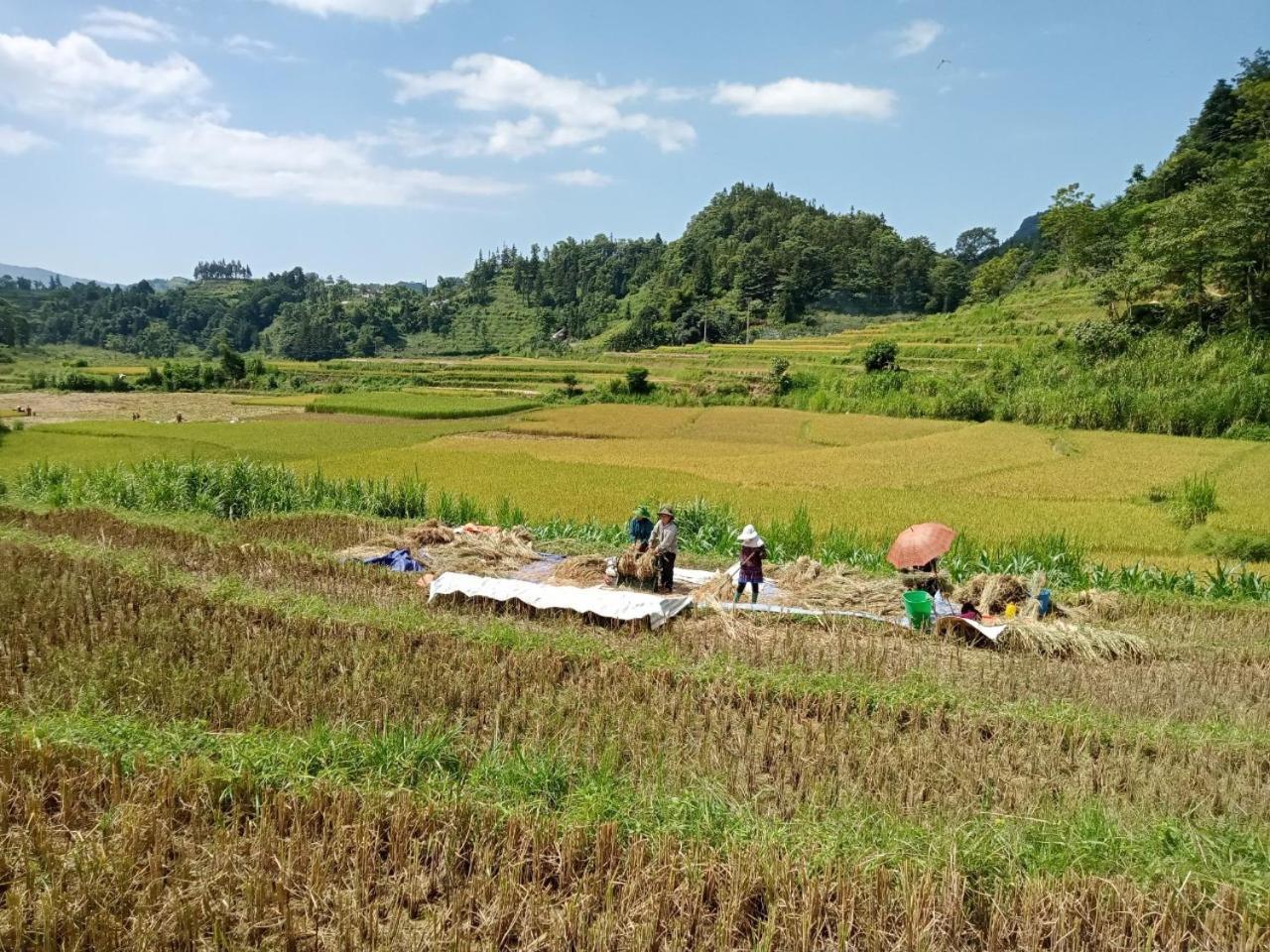 Bac Ha Charm Stay Ngoại thất bức ảnh
